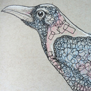 Artist Ari Cebollero, Black bird
